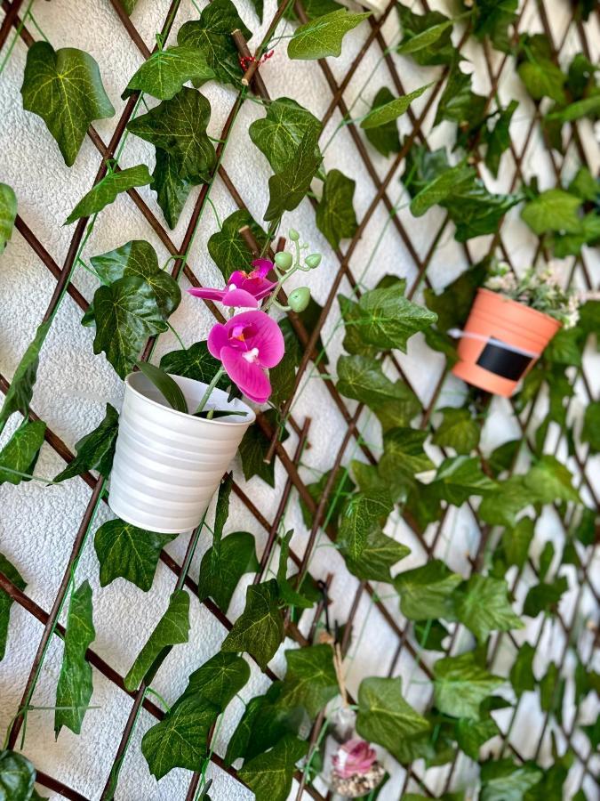 Apartment Tranquilo Split Ngoại thất bức ảnh